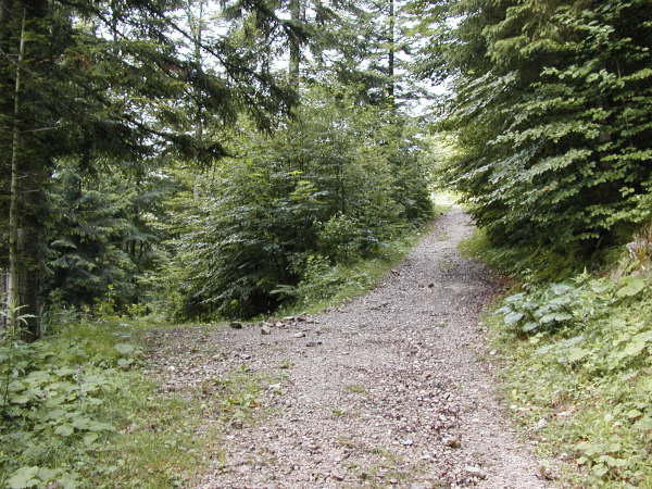 Rechts weiter bergauf