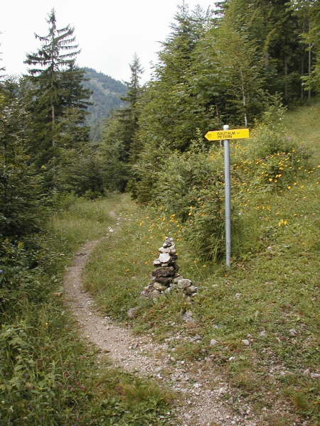 Den linken Pfad Richtung Langeneck, Petern fahren