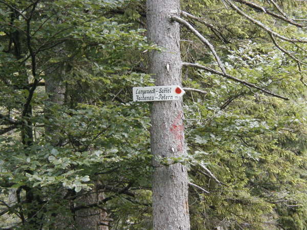Richtung Langeneck-Sattel, Jachenau, Petern