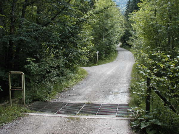 Kurz hinter dem Weiderost links