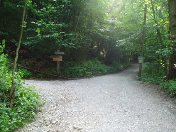 geradeaus weiter bergauf