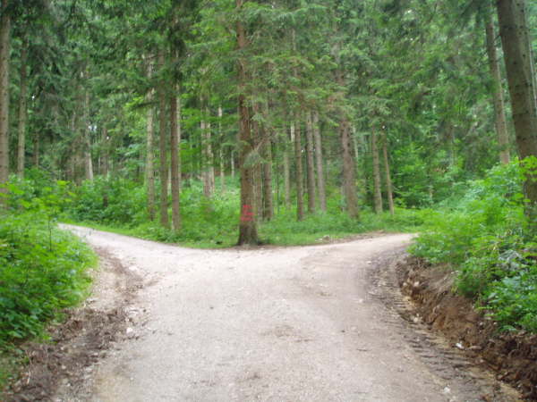 Links dem roten Pfeil folgen