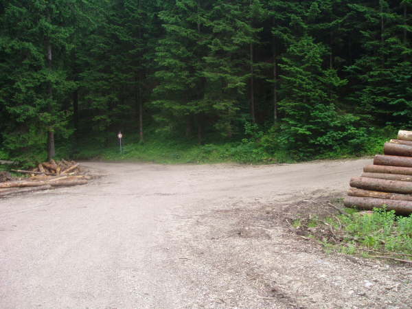 rechts abzweigen und wieder leicht bergauf fahren, spter links bergab fahren