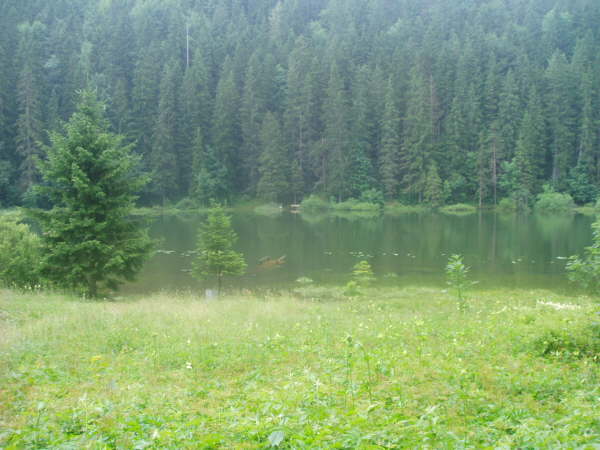zum Bichlersee