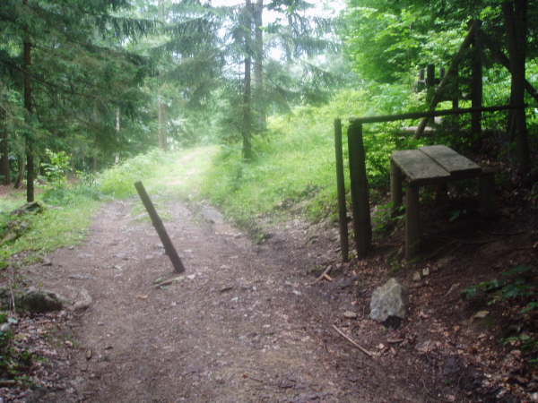 Dem Weg durch die Viehsperre folgen