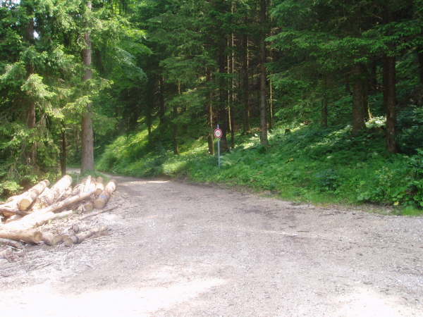 Diesmal links bergab fahren