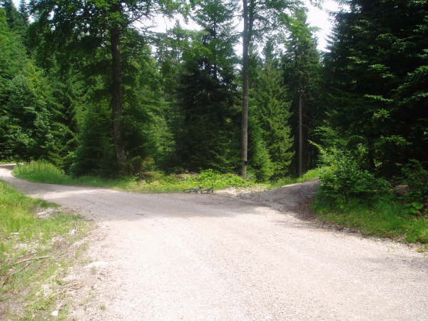 Rechts auf den verfallenen Trial abzweigen