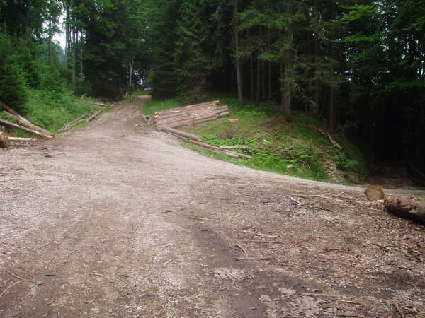 Auf wieder besserem Weg rechts abbiegen