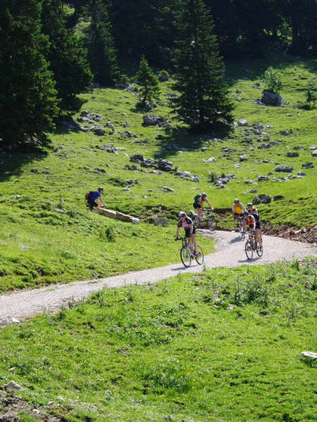 Downhill auf gutem Schotterweg