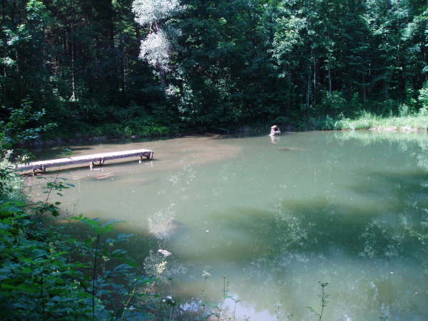 Vorbei am sch�nen Weiher