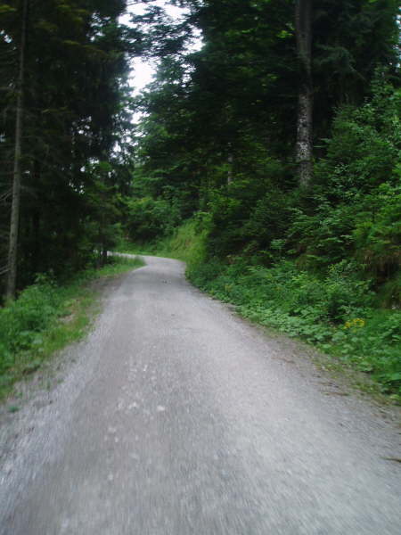 Dem Weg stets bergauf folgen