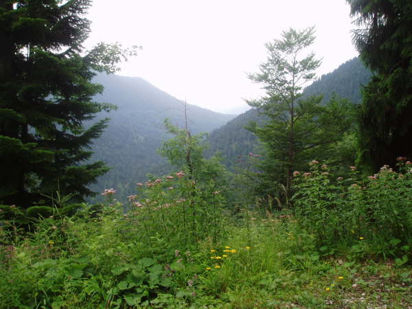 Blick ins Eschenleinetal