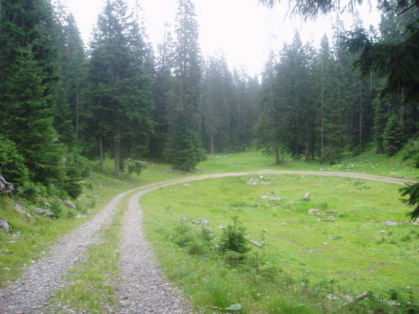 In der Linkskurve auf den kaum erkennbaren Pfad abzweigen