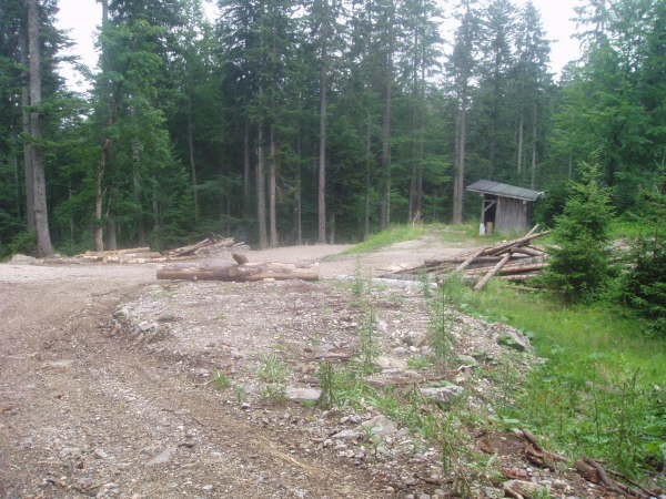Weiter auf wieder gutem Forstweg