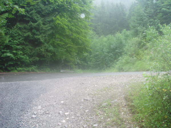 Mndung an der Asphaltstrae