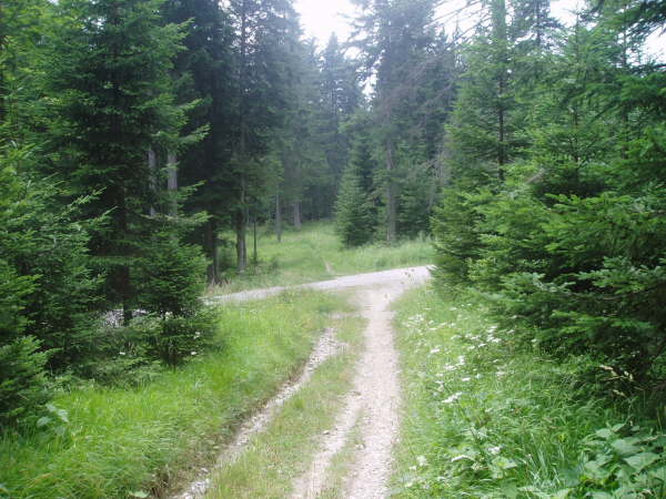 Geradeaus weiter auf den Pfad