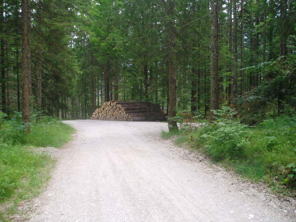 rechts hoch Richtung Gschwandtner Bauern abbiegen