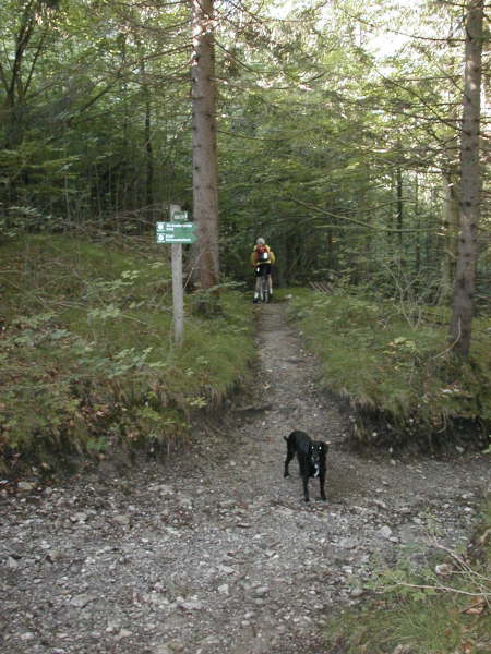 Dem Pfad geradeaus folgen