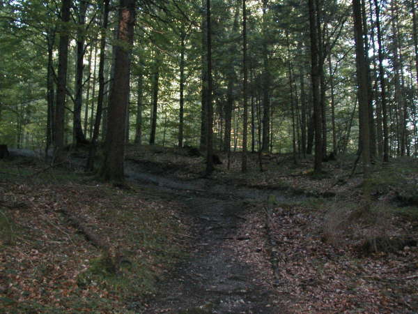 Links bergauf fahren