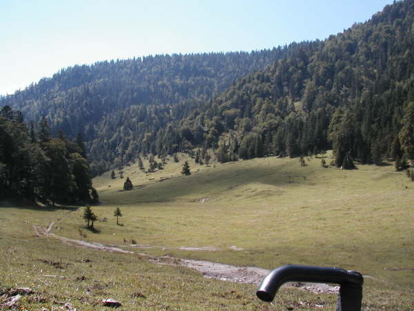 Blick zurck zum Weidegelnde der Kotalm