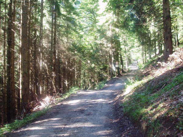 Rechts leicht bergauf fahren