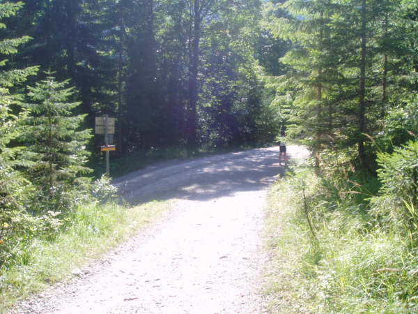 Mndung am Reintalweg