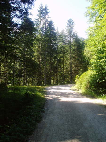 Diesem stets taleinwrts folgen