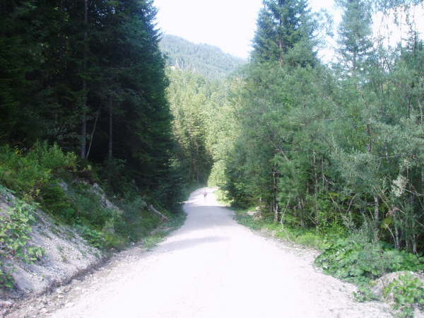 Dem Reintalweg stets bergauf fahren