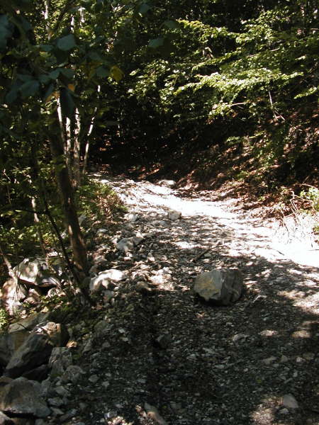 steil bergauf schieben