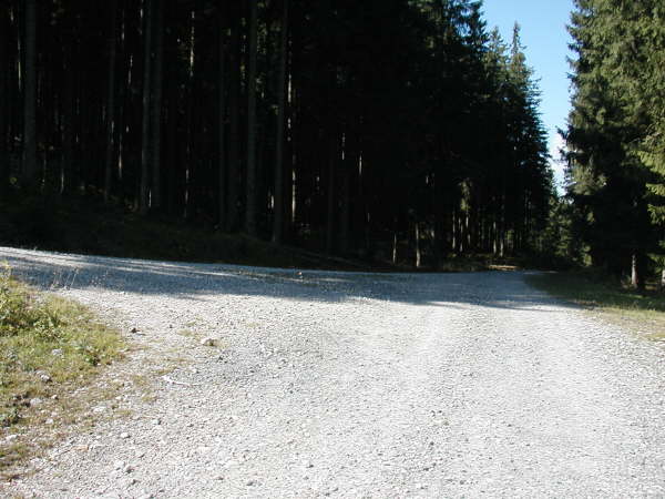 Geradeaus weiter auf dem Schotterweg