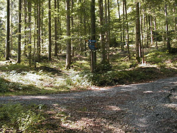 Links auf dem Rundweg fahren