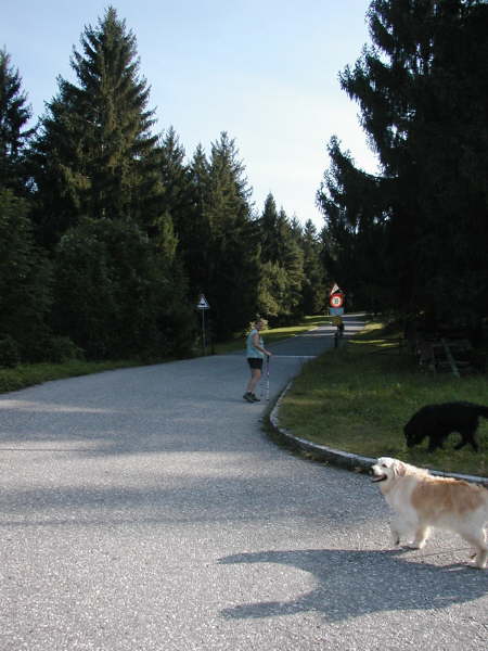 Asphaltstrae bergauf