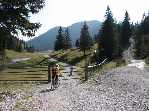 Oben kurz vor der Esterbergalm