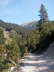 Downhill ins Finzbachtal