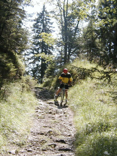 Rutschiger Trial Pfad