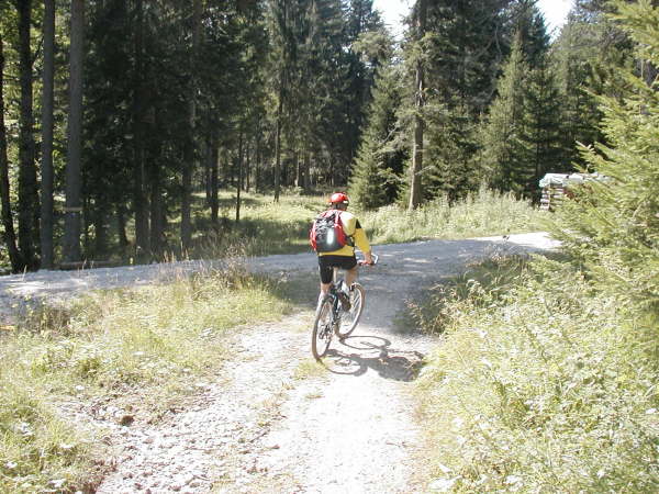 An der Mdung des Schotterweges geradeaus auf den schmalen Pfad fahren