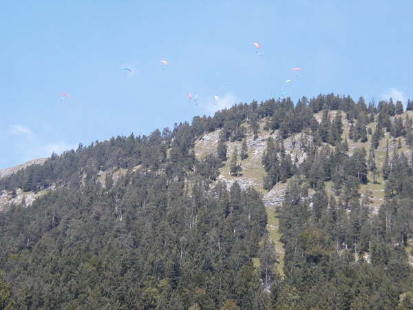 Gleitschirmflieger am Wank