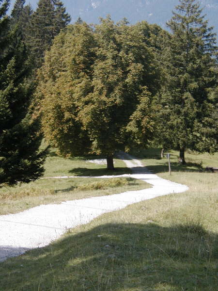 Geradeaus weiter bergab fahren