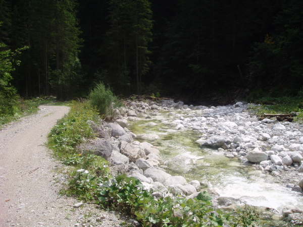 Dem Weg stets entlang der Bayrbachache folgen