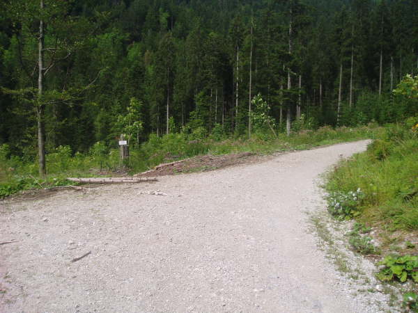 Links auf den Trial nach Valepp abzweigen