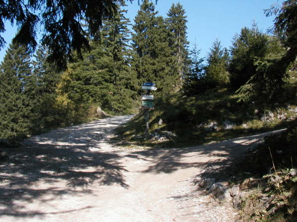 Geradeaus weiter zur Kesselalm