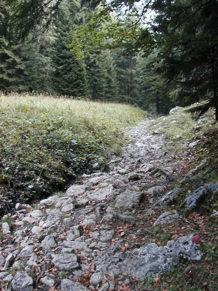 wird zum teils wsten Trial