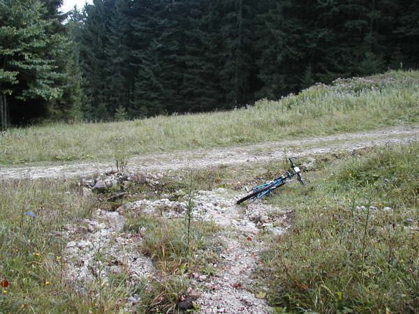 Mndung am Schotterweg