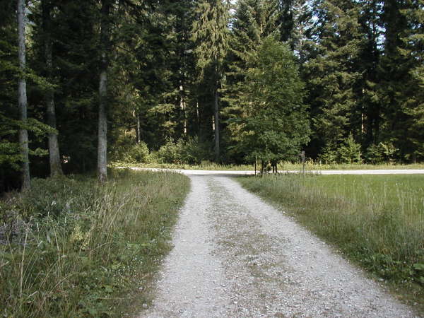 Mndung am 2. Schotterweg