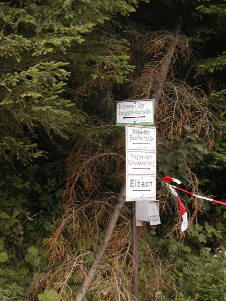 dem Weg bergab Richtung Tregler Alm, Schwarzenberg, Elbach folgen