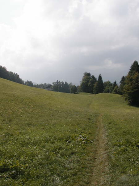 ber die Wiesen fahren