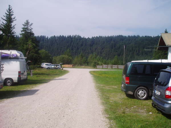 Mndung an der Asphaltstrae