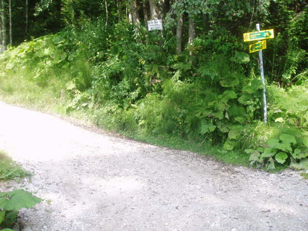 Weiter bergauf Richtung Eckbauer