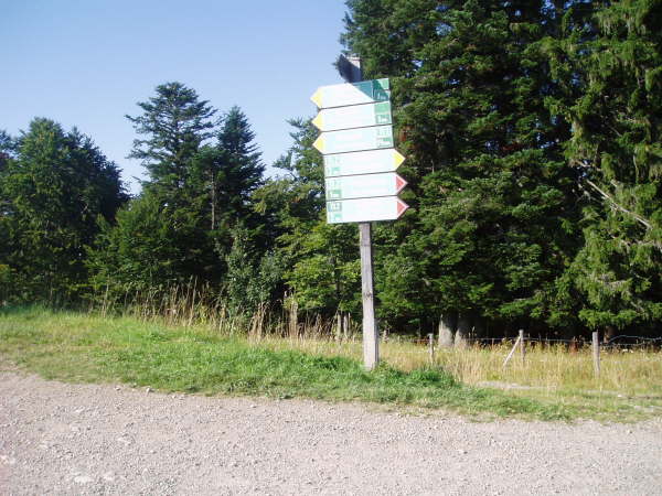 Weiter Richtung Gindelalm