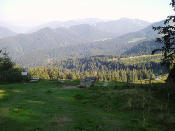 Dem Weg durch das Gatter folgen